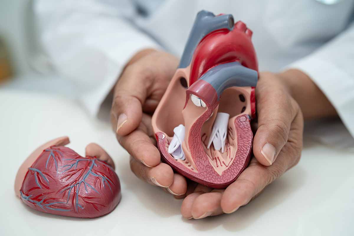 Koroner Arter Hastalığı Belirtileri Nelerdir?